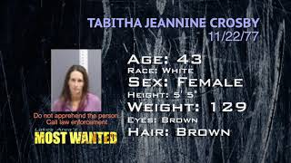 Most Wanted in Becker County