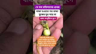 মা-বোনদের বাচ্চা হওয়ার পর দুধ কম পেলে।