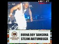 BURNA BOY ALIVYO ANGUKA STEJINI AKIPERFORM LIVE  #2024 #music #tiktok #trending