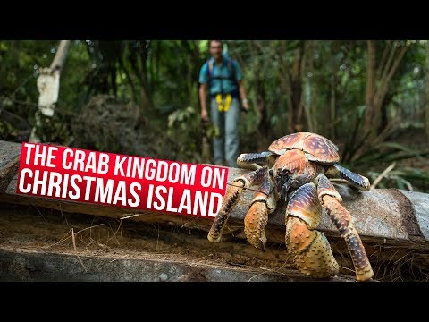 Christmas Island with Google Streetview! Christmas Island with Google Streetview!