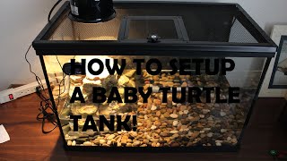 How To Setup A Baby RED EARED SLIDER Turtle Tank!