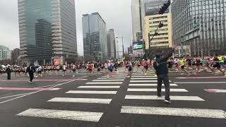 2024 서울마라톤(동아일보) 엘리트 선수, 명예의전당 선수 출발~!