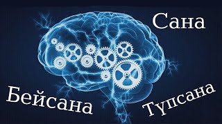 Адамның бейсанасы дегеніміз не? \\ Маңызды мәселе (әйелдерге) \\ Асыл арна