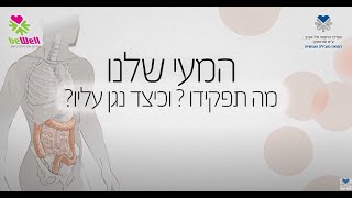 תפקיד המעי - ד\