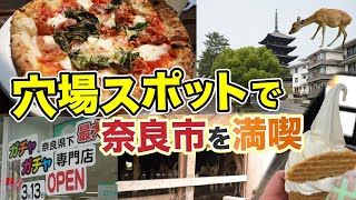 空いたほんの2時間で奈良市を満喫！【キナリ ピッツァ】【猿沢池】【ガチャガチャ専門店】【植村牧場】