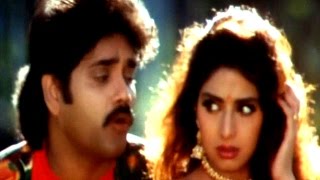 Andamaa Anduma Video Song || Govinda Govinda Movie || Nagarjuna, Sridevi