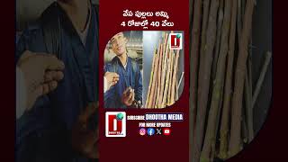 వేప పుల్లలు అమ్మి 4 రోజుల్లో 40 వేలు #mahakumbh2025 #upkumbhamela #trendingshorts || DHOOTHA MEDIA