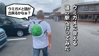 【感動】ウミガメに会える道の駅♪（道の駅 紀宝町ウミガメ公園）【グルメ刑事の法則】三重県／vol.390