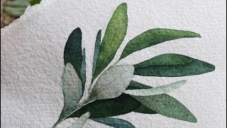 [베리현 수채화]올리브 그리기| Watercolor painting | Watercolor flower | Watercolor tutorial | olive