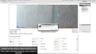 Tutorial: Condition mapping of art work, registering damages
