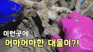 해루질하면서 무심코 지나간 자리에 엄청난 대물이?! (with 해루남)