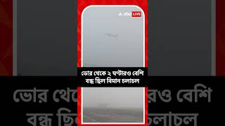 সকাল থেকে ঘন কুয়াশা, ভোর থেকে ২ ঘণ্টারও বেশি বন্ধ ছিল বিমান চলাচল