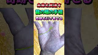 未来を予言する龍眼の手相！【霊能力度がわかるYouTube　説明欄へ】＃Shorts＃手相＃手相鑑定＃スピリチャル＃開運＃占い＃金運