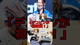 「犬の姿をした神だ…」大谷の愛犬デコピンがMLBの歴史を変えた勝利の神犬として米国で緊急特集が組まれた理由…