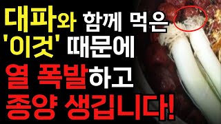 대파와 '이것' 절대로 함께 먹지마세요! 몸 열폭하고 종양, 치매 걸릴 수 있습니다!! 대파와 좋은 궁합 3가지와 최악의 궁합 3가지!ㅣ파 효능ㅣ건강정보