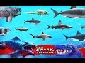 Hungry Shark Evolution - Updated All Sharks Montage