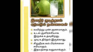 #இளநீர் #tender coconut #healthy #food #coconut #ulcer