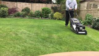 Mowing an English lawn. Hayter 41 Pro