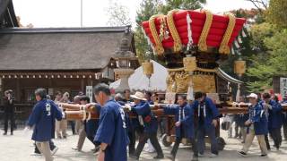 平成29年　4月22日 伊弉諾神宮　宮入奉納　 大町上だんじり1