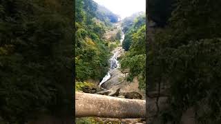 Siruvani Waterfall #tamilnadu #coimbatore #shorts #youtubeshorts #waterfall #viral #trending