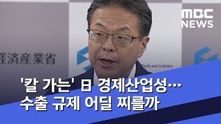 '칼 가는' 日 경제산업성…수출 규제 어딜 찌를까 (2019.08.23/뉴스데스크/MBC)