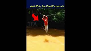 ఎంత సాహసం చేశాడు! #shorts #facts #telugu #humanity #rain #ytshorts #shortvideo #trending #water