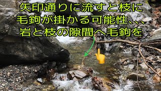 秩父源流・早春の岩魚・テンカラ釣り