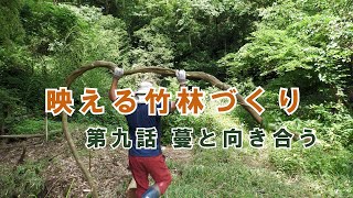 映える竹林 第九話　蔓と向き合い　蔓と格闘して久々に筋肉痛