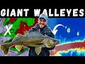 INSANE WALLEYE BITE on Wind-Blown Structure (HUGE FISH) - Locations, Lures, & Techniques