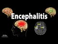 Encephalitis, Animation