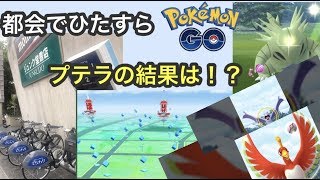 プテラ、ホウオウの色違いまだ？（ポケモンGO）