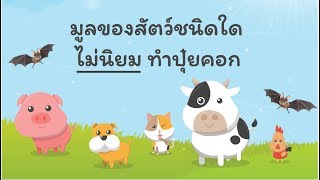 7 คำถาม เพิ่มความรู้วิทยาศาสตร์ - คำถามวิทย์ พิชิตข้อสอบ #2