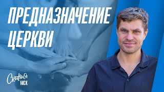 Предназначение церкви. Николай Седич 17.11.2024