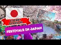 Discover Hanami Festival: Cherry Blossom Viewing in Japan!