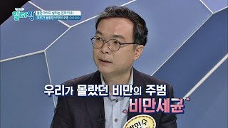 물만 마셔도 살찌는 진짜 이유 ☞ '비만 세균'  TV정보쇼 알짜왕 69회