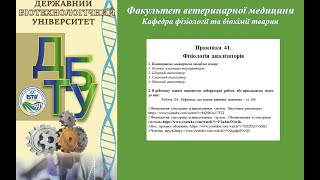 Фізіологія. Практика 41.  Аналізатори. Нюх. Смаковий аналізатор, чутливість шкіри.