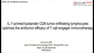 IL-7에 의해 유도된 방관자 CD8 종양 침투 림프구를 통한 T 세포 결합 이중항체 면역요법의 항암효능 최적화