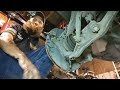 honda prelude h22a4 engine removal