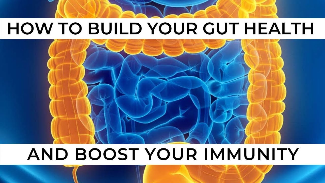 Episode 468 - Building Gut Health Is Important For Immunity & More ...