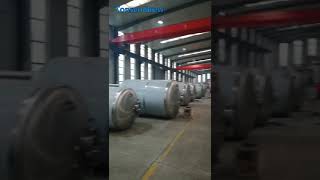 Tonsen 1000l 2000l 4000l 6000l Fermenters in production