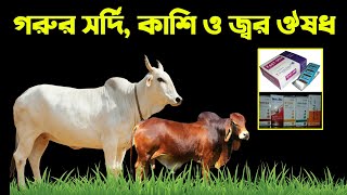 গরুর জ্বর হলে কি চিকিৎসা করব | গরুর জ্বর |