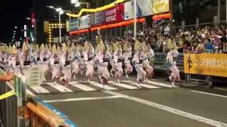 阿波踊り　天水連　紺屋町演舞場にて2014