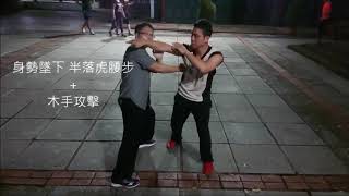 台灣食鶴拳（SHI-HE-QUAN/Crane Kungfu）--應用法講解(2)