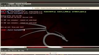 Freefloat FTP Server ANY Command Buffer Overflow