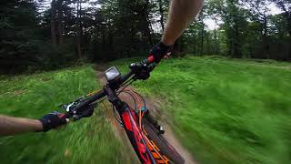 MTB: Trauma Trail (RAW POV)