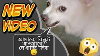 বিস্কুটের প্রতি কোন লোভ নেই আমার