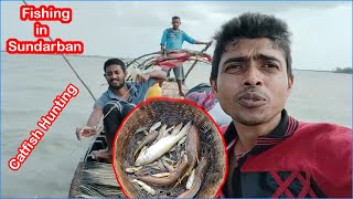 তেড়ো মাছ !! মেদ মাছ !! Catfish !! Gagra tangra !! Fishing in sundarban!! AOS