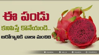 Dragon Fruit benefits in Telugu |డ్రాగన్ ఫ్రూట్ గురించి ఆసక్తికర విషయాలు | Health Tip Vigil Media