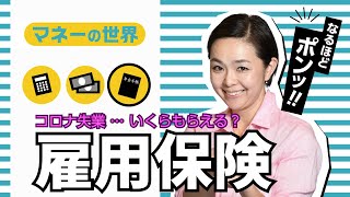 失業？解雇！？　コロナ禍で知っておきたい雇用の安全網【日経まねび】