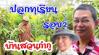 กำภูคิดใหญ่ปลูกทุเรียนตามใจพ่อ #บ้านสวนกำภูEP778